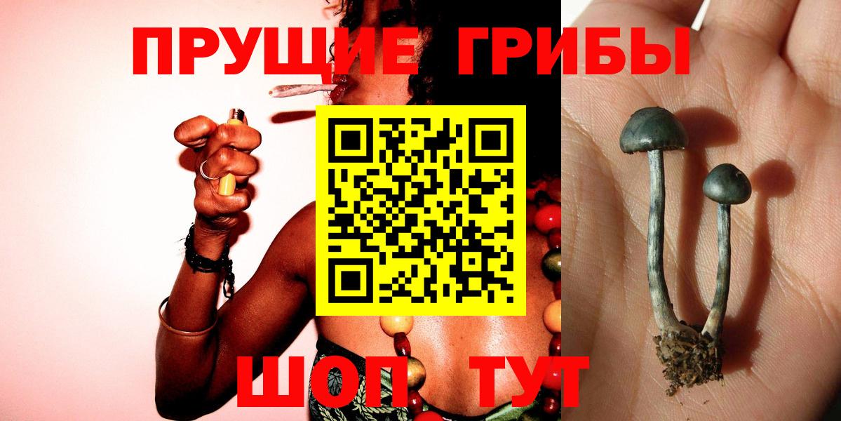 Галлюциногенные грибы ЛСД Барабинск